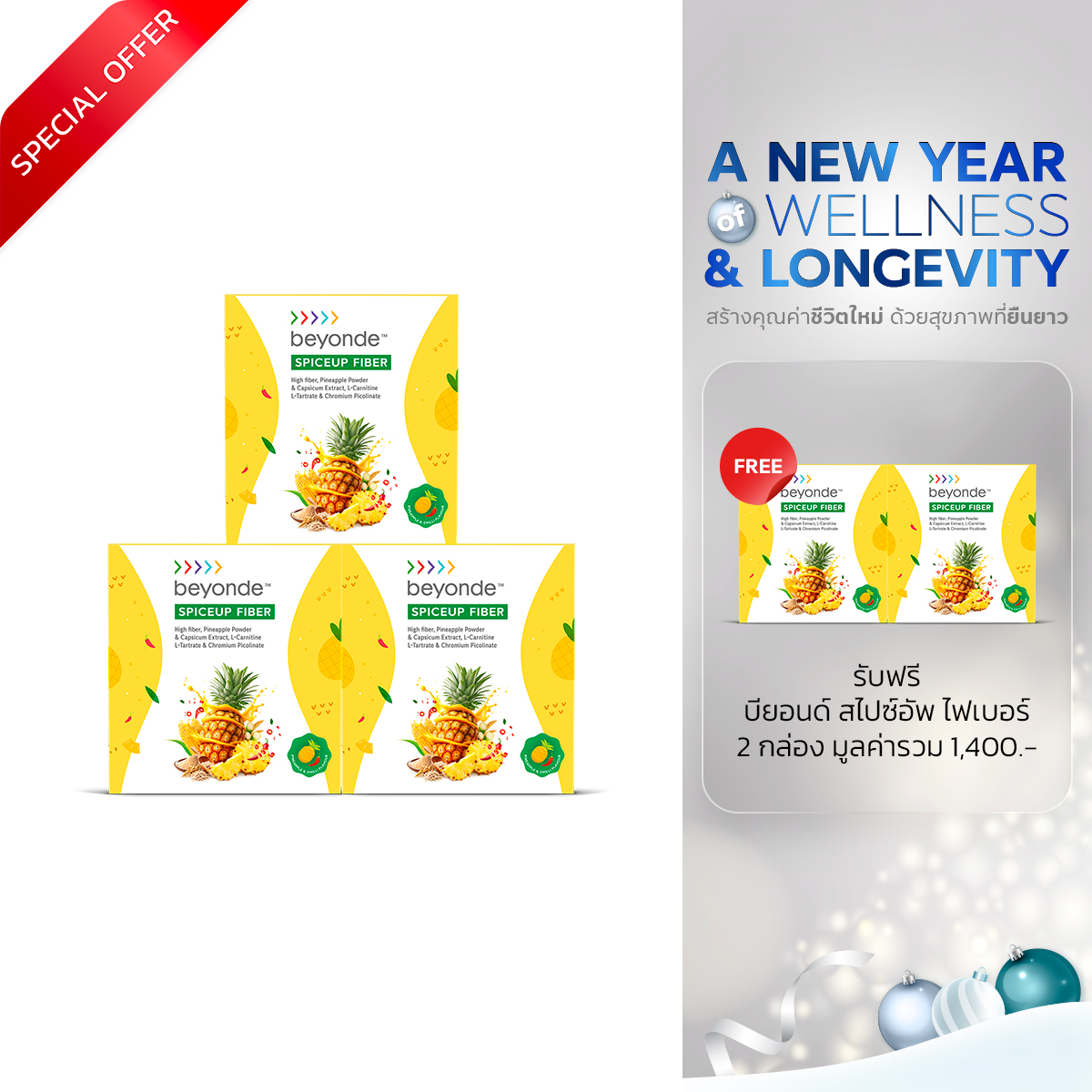 บียอนด์ สไปซ์อัพ ไฟเบอร์