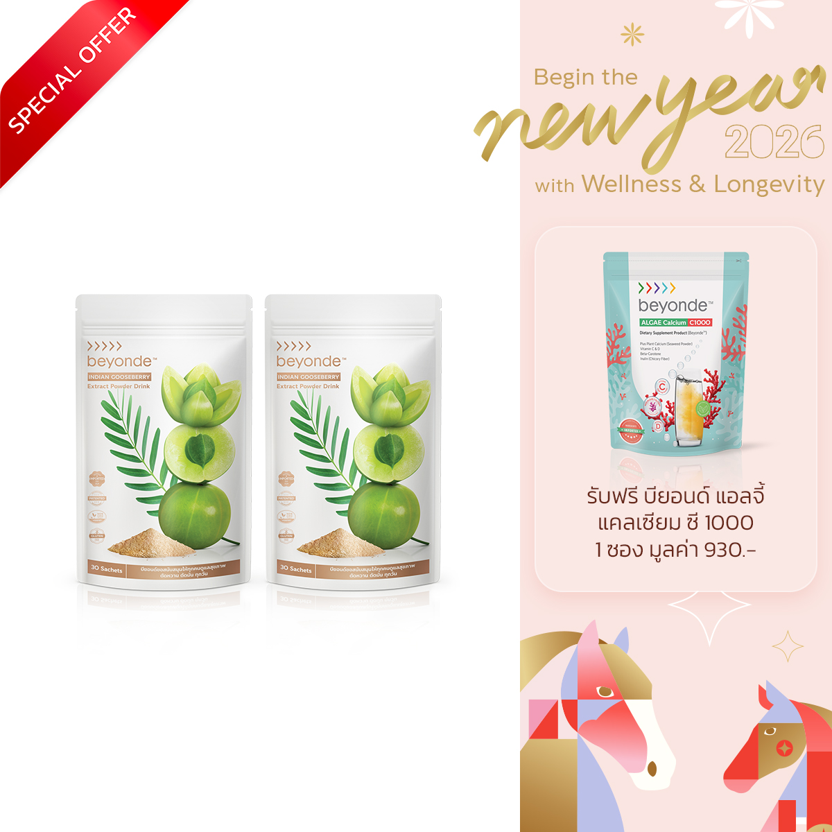 โปรโมชั่น : บียอนด์ อินเดียน กู๊ดส์เบอร์รี่