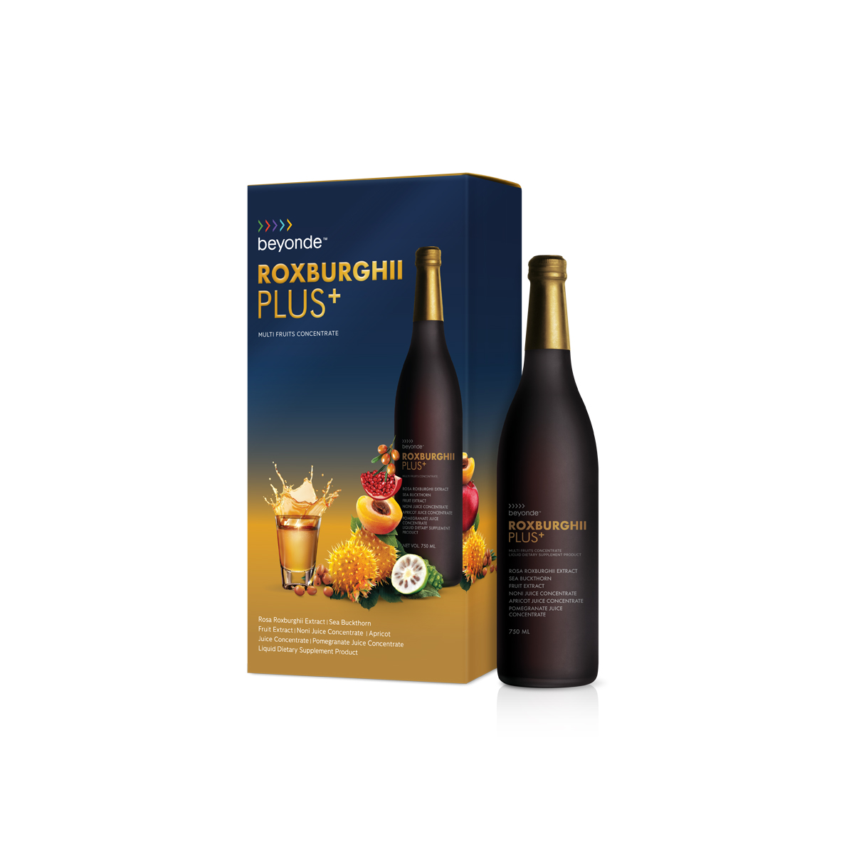 บียอนด์ ร็อกซ์เบอร์กี้ พลัส+