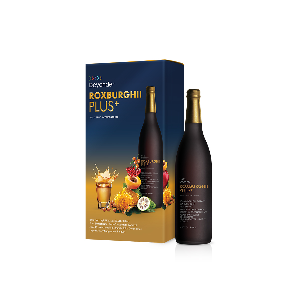 บียอนด์ ร็อกซ์เบอร์กี้ พลัส+